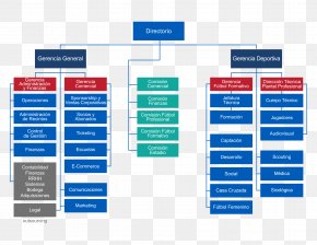 Organizational Chart Empresa Organizational Structure Company, PNG ...