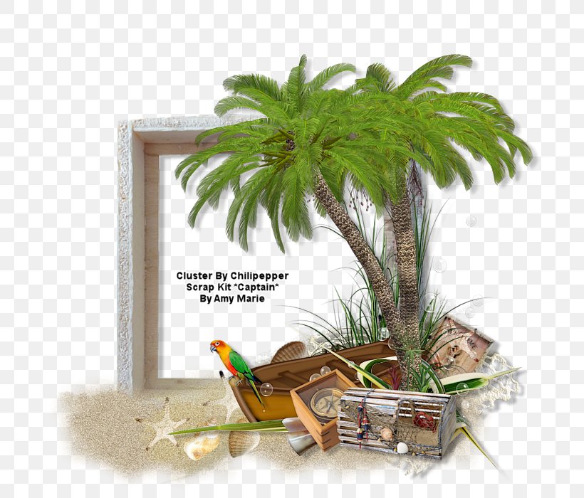 Coconut PSP August 8 Rubbish Bins & Waste Paper Baskets Herb, PNG, 700x700px, Coconut, Arecales, August 8, Flowerpot, Herb Download Free