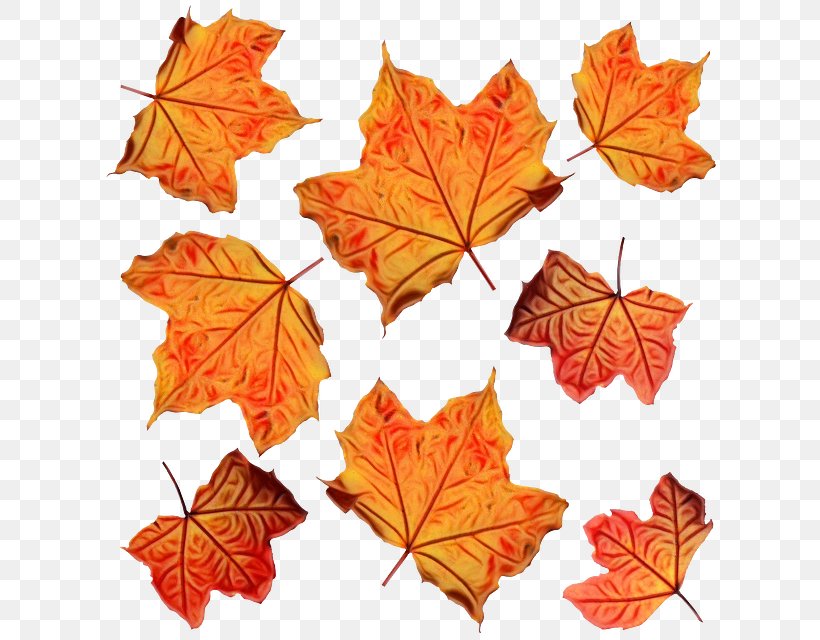 Autumn Leaves Background, PNG, 640x640px, Autumn Leaf Color, Autumn, Black Maple, Deciduous, Flower Download Free