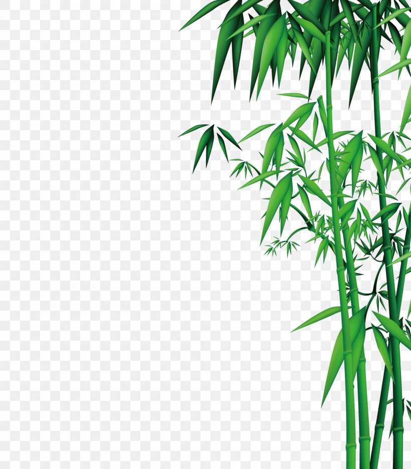 Bamboo Download, PNG, 2000x2284px, Bamboo, Area, Bamboo Textile, Bambusa Oldhamii, Grass Download Free