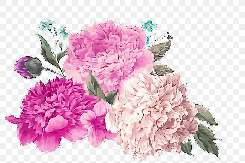 Bouquet Of Flowers Drawing, PNG, 788x548px, Flower, Art, Bouquet, Carnation, Chinese Peony Download Free