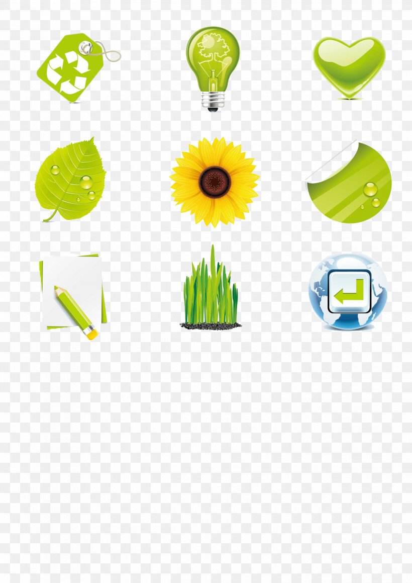 Euclidean Vector Icon, PNG, 2480x3508px, Ecology, Clip Art, Flower, Graphic Arts, Grass Download Free