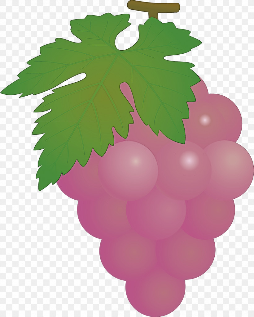Grape Grapes Fruit, PNG, 2409x3000px, Grape, Flower, Fruit, Grape Leaves, Grapes Download Free