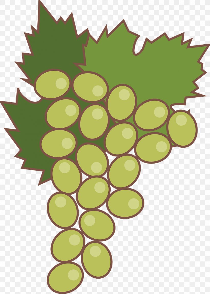 Grapevines Fruit Food Clip Art, PNG, 915x1280px, Grape, Animation, Auglis, Flowering Plant, Food Download Free