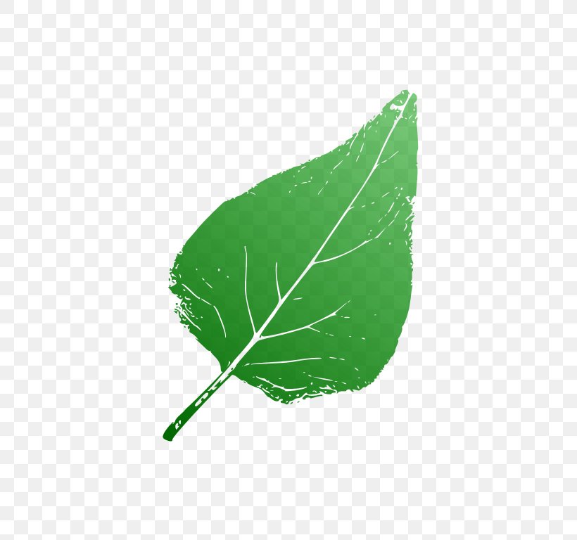 Leaf, PNG, 768x768px, Leaf, Grass, Green, Plant Download Free