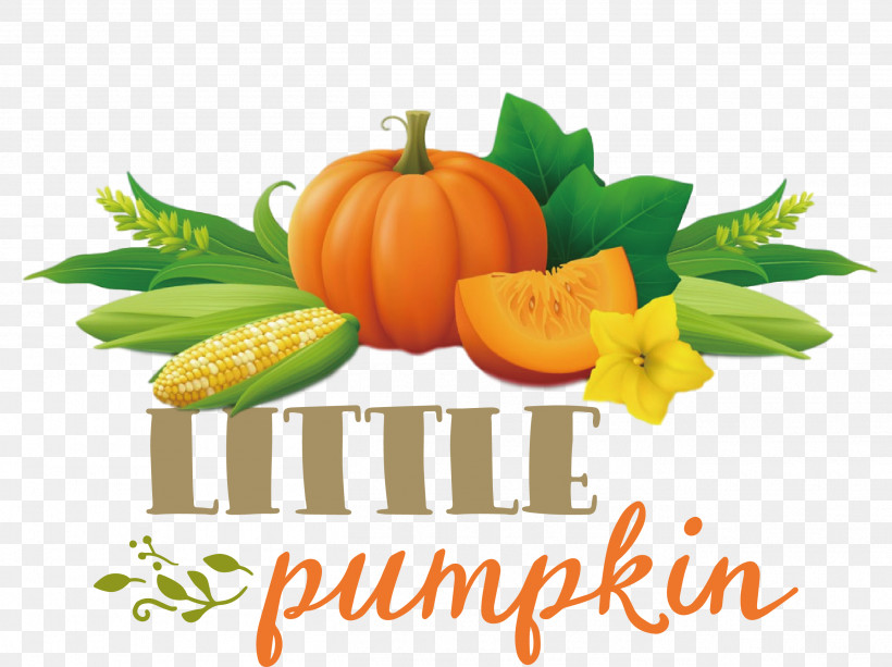 Little Pumpkin Thanksgiving Autumn, PNG, 2612x1955px, Little Pumpkin, Autumn, Cooking, Corn, Courgette Download Free