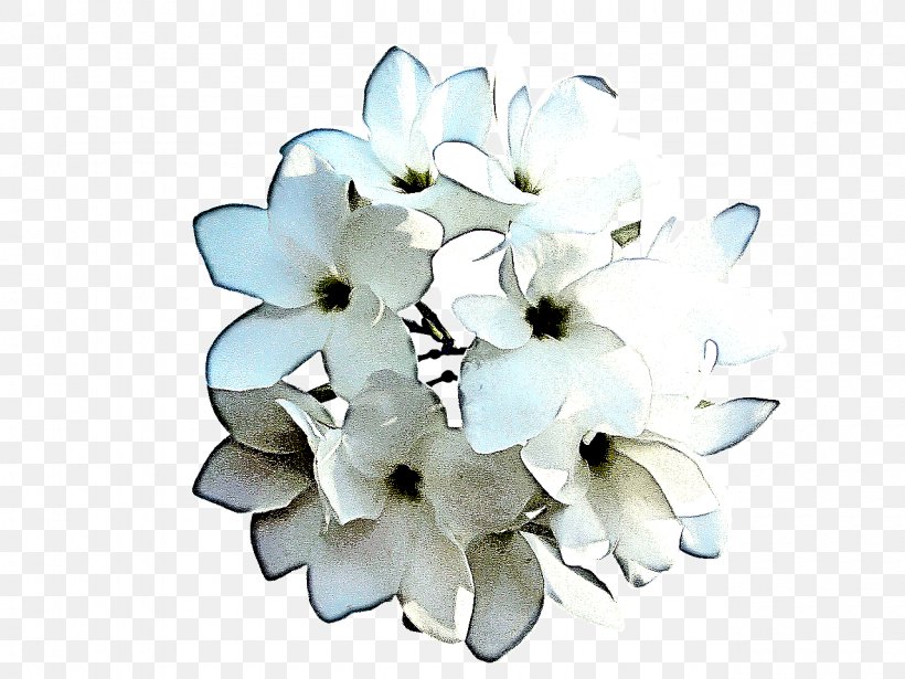 White Petal Flower Plant Cut Flowers, PNG, 1280x960px, White, Blossom, Cut Flowers, Fashion Accessory, Flower Download Free