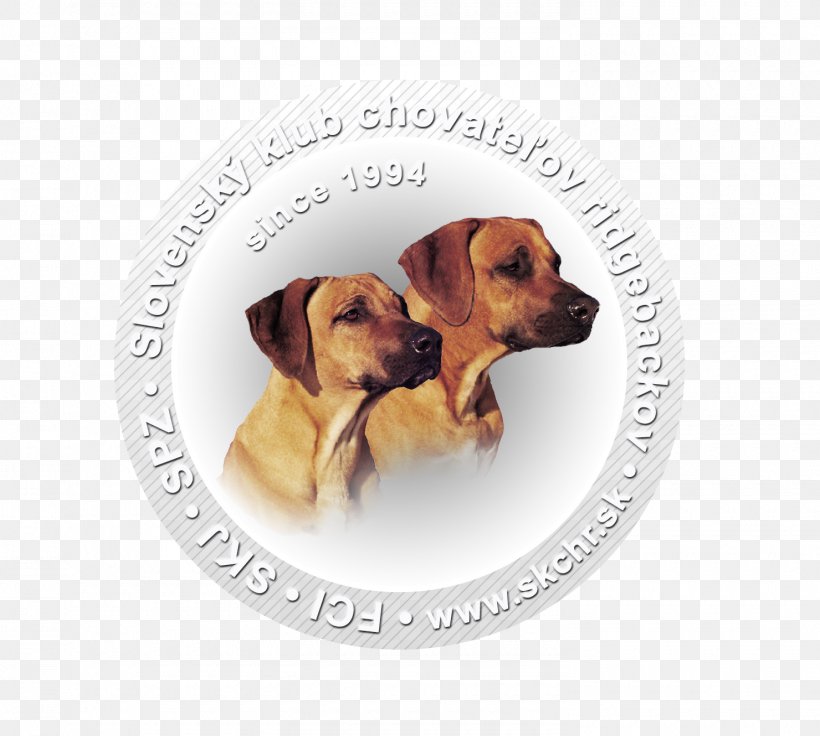 Dog Breed Rhodesian Ridgeback Puppy Snout Kennel, PNG, 1480x1330px, Dog Breed, Agar, Breed, Dog, Dog Like Mammal Download Free