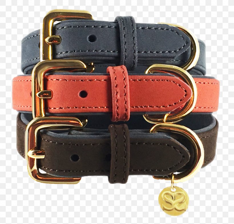 Dog Collar Leash Leather, PNG, 1100x1051px, Dog, Belt, Collar, Dog Collar, Leash Download Free