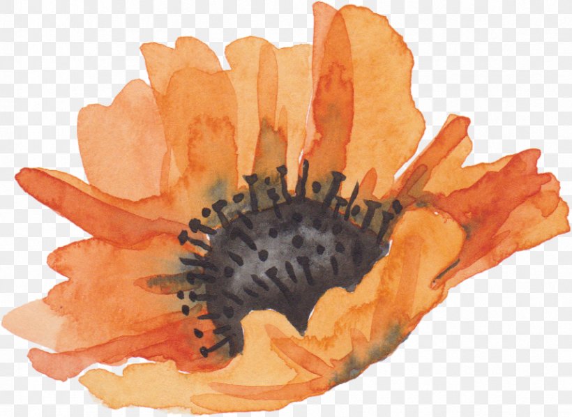 Flower Watercolor Painting Download, PNG, 857x625px, Watercolor Painting, Color, Flower, Gratis, Orange Download Free