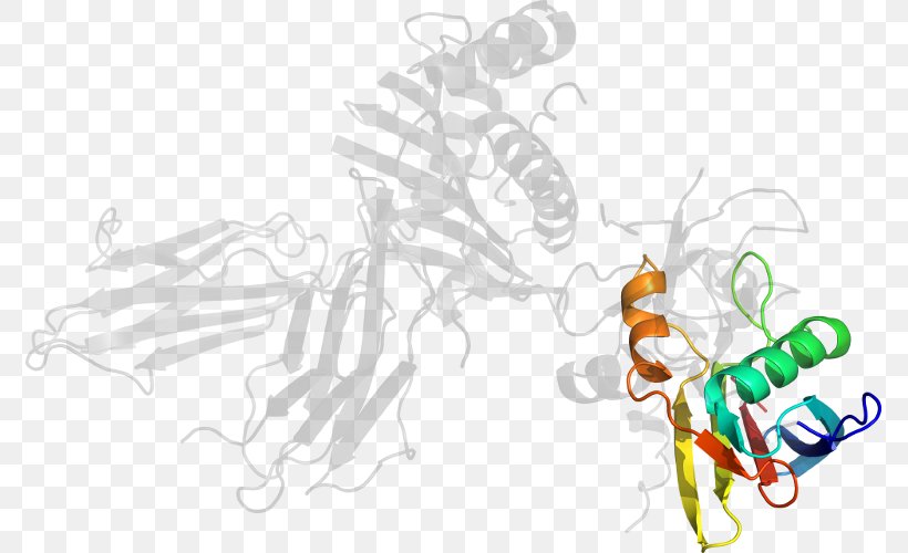 Graphic Design Insect Clip Art, PNG, 773x500px, Insect, Art, Artwork, Cartoon, Computer Download Free