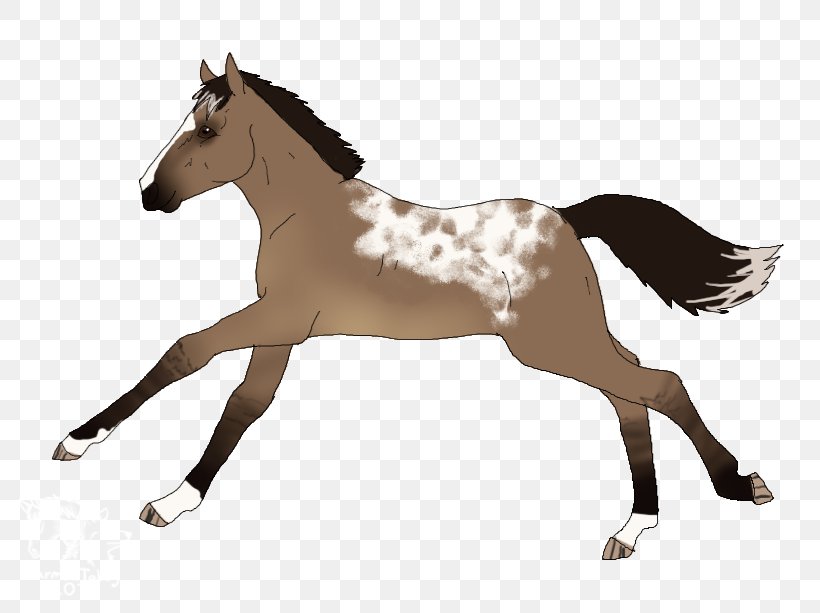 Mustang Foal Stallion Mare Colt, PNG, 800x613px, Mustang, Animal Figure, Bridle, Colt, English Riding Download Free