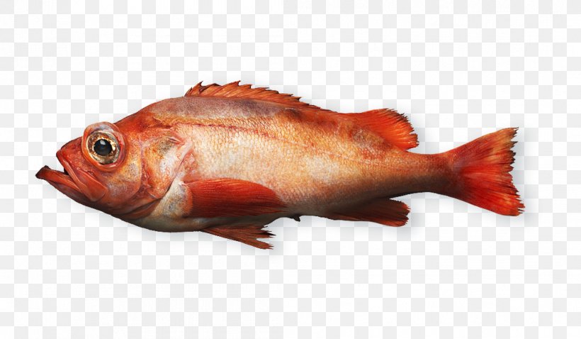 Northern Red Snapper Fish Products Rose Fish Seafood, PNG, 1056x616px, Northern Red Snapper, Animal Source Foods, Crayfish, Fish, Fish Products Download Free