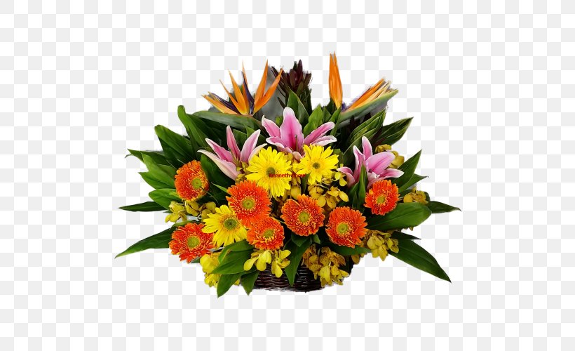 Floral Design Cut Flowers Flower Bouquet Transvaal Daisy, PNG, 500x500px, Floral Design, Annual Plant, Cut Flowers, Floristry, Flower Download Free