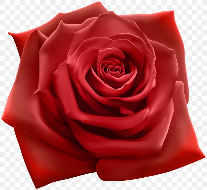 Rose Stock Illustration Stock Photography Illustration, PNG, 5000x4586px, Rose, Art, Blue Rose, Cut Flowers, Floribunda Download Free