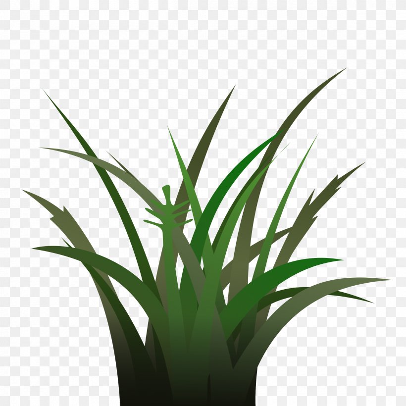 Animation Clip Art, PNG, 2400x2400px, Animation, Aloe, Arecales, Cartoon, Comics Download Free