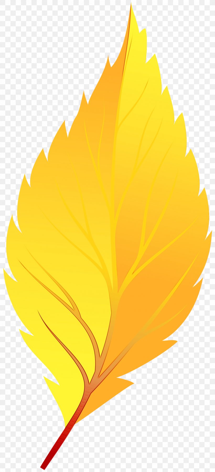 Autumn Background, PNG, 1371x3000px, Autumn, Autumn Leaf Color, Deciduous, Flower, Leaf Download Free