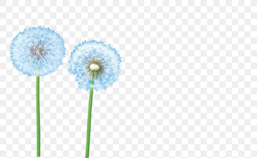 Dandelion Clip Art, PNG, 1024x630px, Dandelion, Blue, Flower, Gratis, Petal Download Free
