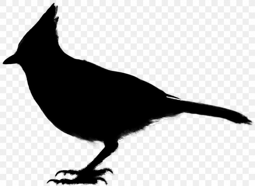 Fauna Silhouette Beak, PNG, 1143x836px, Fauna, Beak, Bird, Blackandwhite, Bulbul Download Free