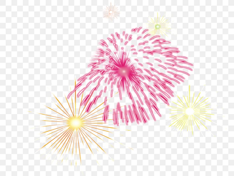 Fireworks Lunar New Year, PNG, 773x617px, Fireworks, Bainian, Chinese New Year, Close Up, Color Download Free