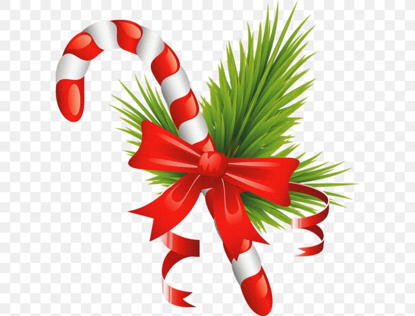 Candy Cane Christmas Ornament Walking Stick, PNG, 600x625px, Candy Cane, Cane, Christmas, Christmas Decoration, Christmas Ornament Download Free