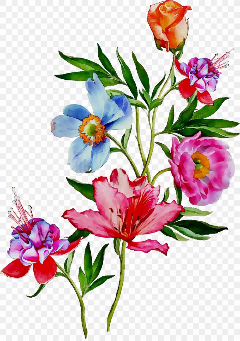 Floral Design Blouse T-shirt Cotton Cut Flowers, PNG, 1648x2334px, Floral Design, Alstroemeriaceae, Blouse, Botany, Bouquet Download Free