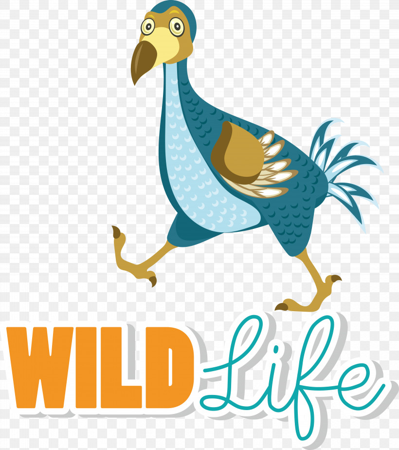 Fowl Beak Birds Duck Wildlife, PNG, 5869x6615px, Fowl, Beak, Birds, Duck, Logo Download Free