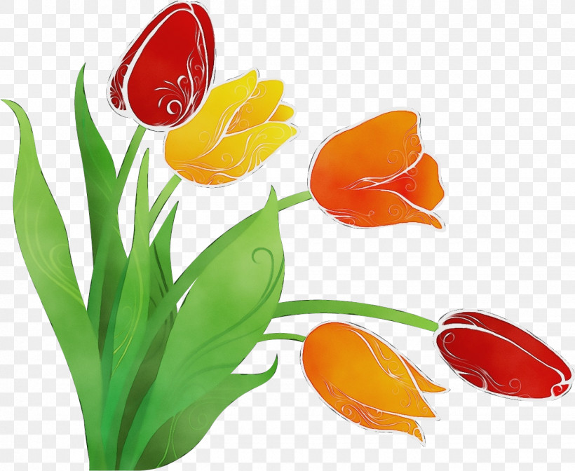 Tulip Plant Flower Petal Lily Family, PNG, 1336x1096px, Tulip Bouquet, Flower, Flower Bouquet, Flower Bunch, Lily Family Download Free