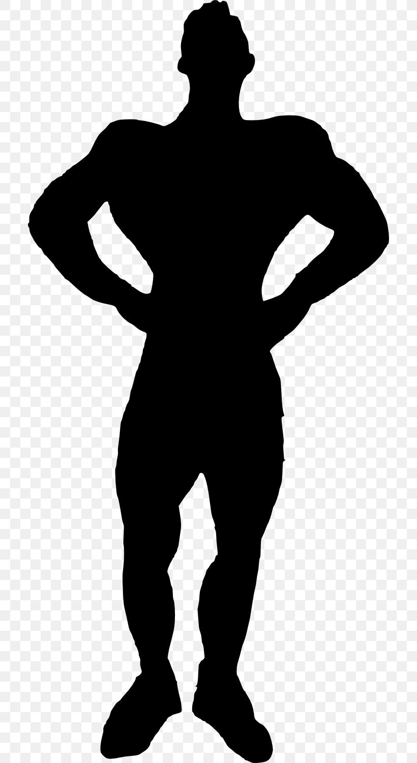 Silhouette Muscle Clip Art, PNG, 710x1500px, Silhouette, Arm, Black, Black And White, Bodybuilding Download Free