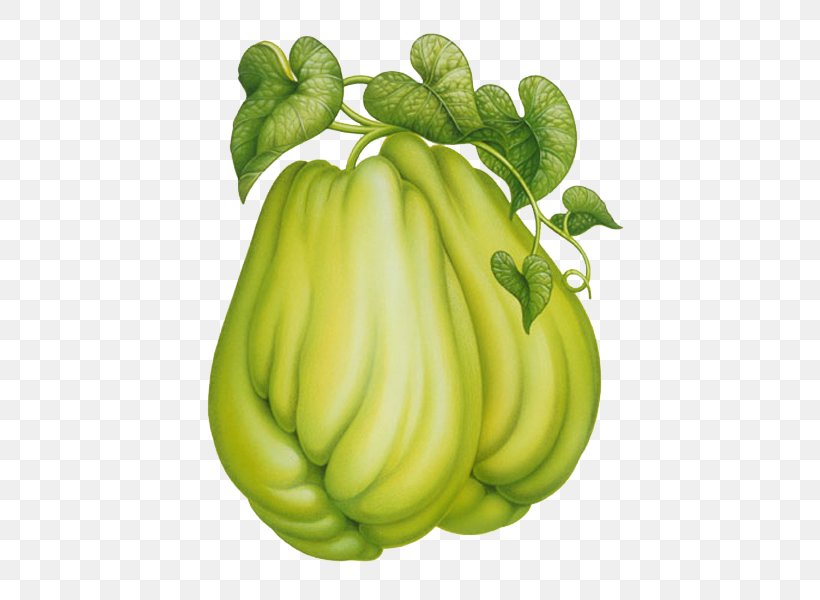 Chayote Fruit Clip Art, PNG, 474x600px, Food, Chayote, Cucumber Gourd And Melon Family, Cucurbita, Decoupage Download Free