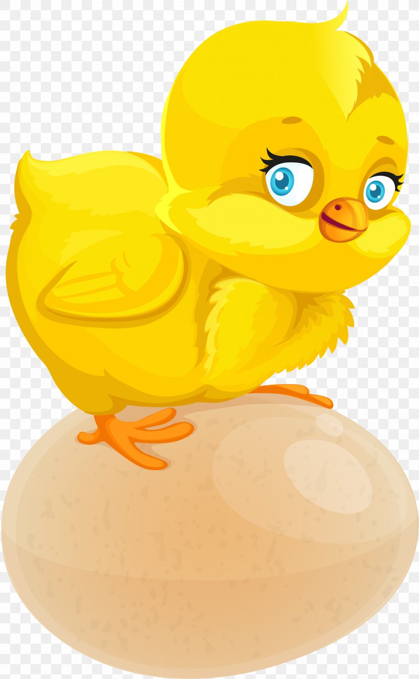 Chicken Drawing Animation Cartoon, PNG, 2467x4000px, Chicken, Animation, Beak, Bird, Cartoon Download Free