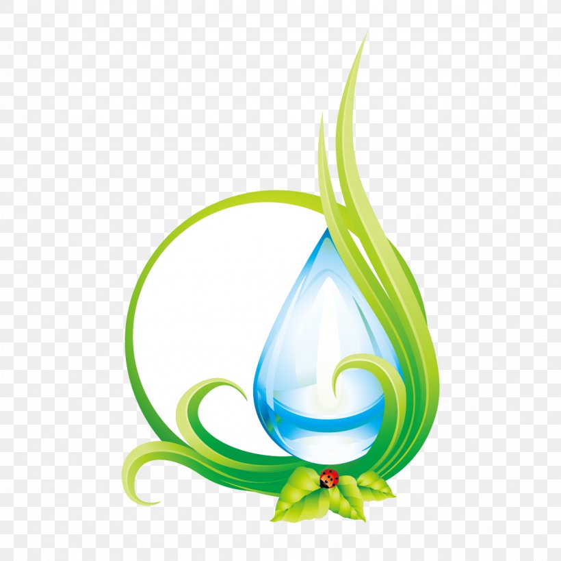 Drop Water, PNG, 1181x1181px, Drop, Blue, Dew, Flower, Green Download Free