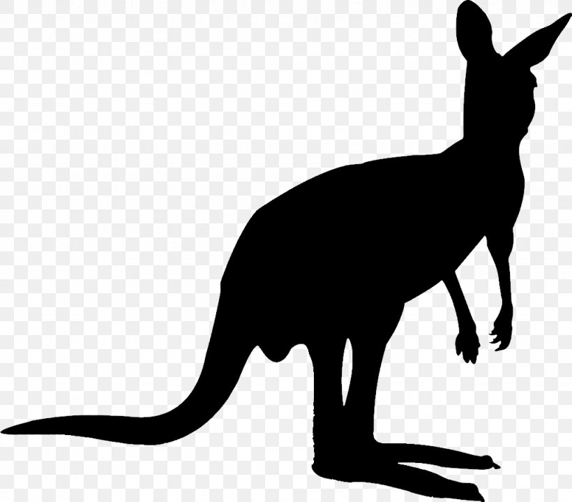 Kangaroo Vector Graphics Royalty-free Stock Photography Image, PNG, 1024x899px, Kangaroo, Blackandwhite, Cat, Felidae, Macropodidae Download Free