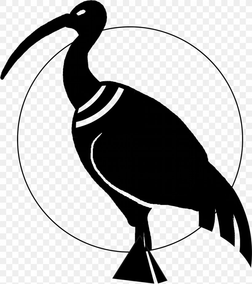 Thoth Ibis Water Bird Beak, PNG, 1140x1286px, Thoth, Anatidae, Artwork, Beak, Bird Download Free