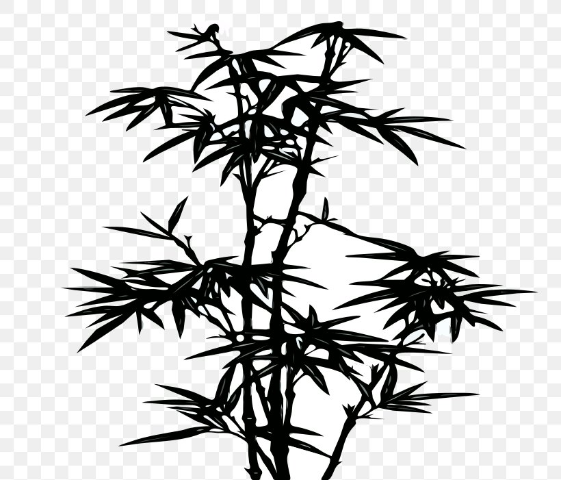 Bamboo Silhouette Wall Decal Clip Art, PNG, 800x701px, Bamboo, Black And White, Branch, Decorative Arts, Drawing Download Free