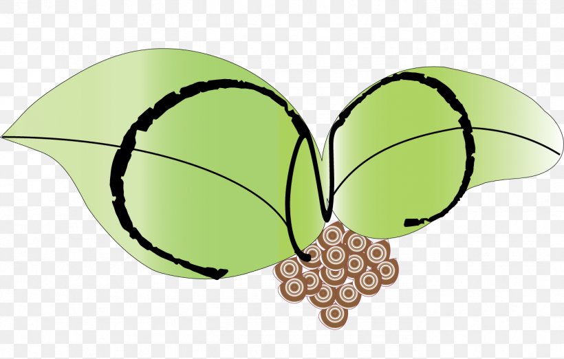 Butterfly Wing Insect Clip Art, PNG, 1389x885px, Butterfly, Butterflies And Moths, Fruit, Green, Insect Download Free