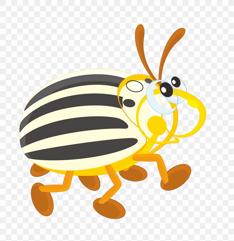 Colorado Potato Beetle Clip Art, PNG, 1800x1851px, Beetle, Animal, Art, Bee, Bee Beetle Download Free