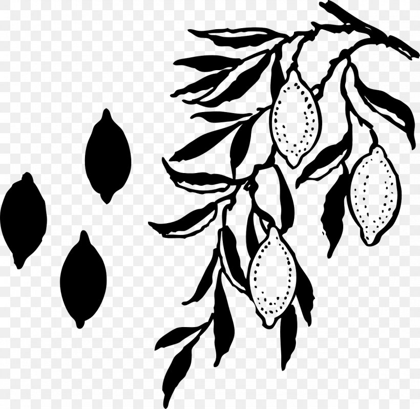 Flower Plant Stem Fruit Leaf Pattern, PNG, 1280x1248px, Flower, Black M, Blackandwhite, Botany, Branch Download Free