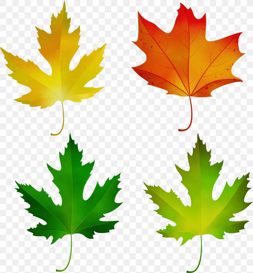 Green Leaf Watercolor, PNG, 2779x2999px, Watercolor, Autumn, Autumn Leaf Color, Black Maple, Deciduous Download Free