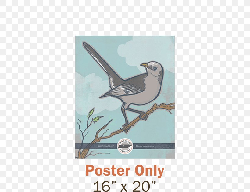 Northern Mockingbird Tennessee Texas State Bird, PNG, 600x629px, Bird, Beak, Bird Flight, Bird Of Prey, Fauna Download Free
