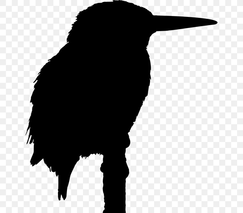 Big Bird Silhouette Kingfisher, PNG, 648x720px, Bird, Beak, Belted Kingfisher, Big Bird, Black Download Free