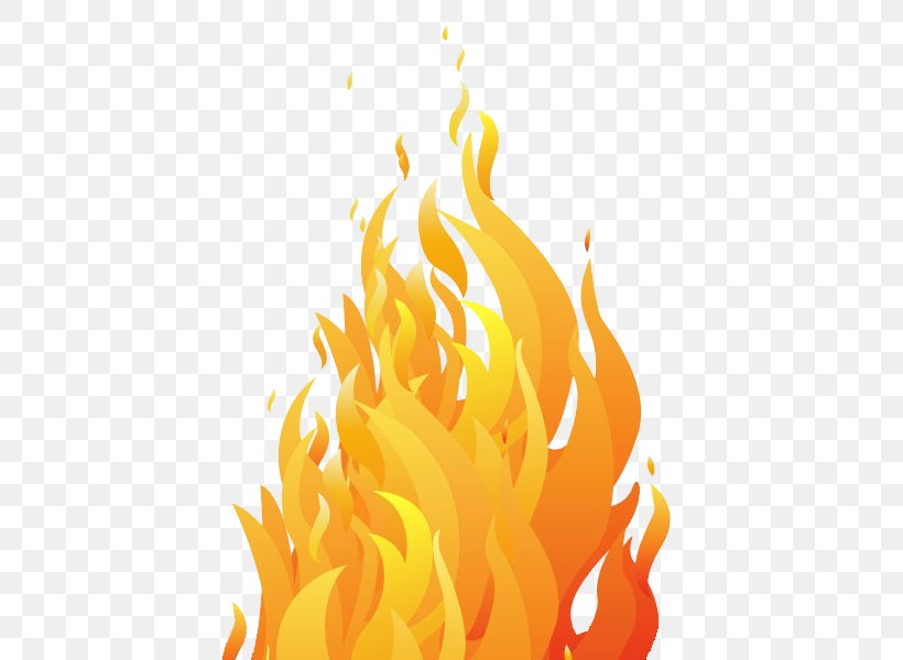 Fire Flame Clip Art, PNG, 449x600px, Fire, Colored Fire, Combustion, Flame, Flower Download Free