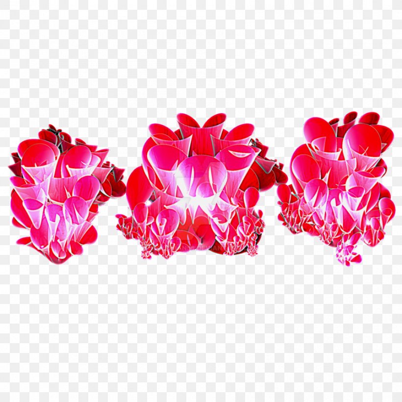 Garden Roses Cut Flowers Petal, PNG, 894x894px, Garden Roses, Cut Flowers, Flower, Flowering Plant, Garden Download Free