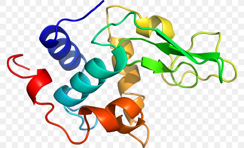Integral Membrane Protein Cell Membrane Biological Membrane Lipid Bilayer, PNG, 774x500px, Integral Membrane Protein, Area, Artwork, Bilayer, Biological Membrane Download Free