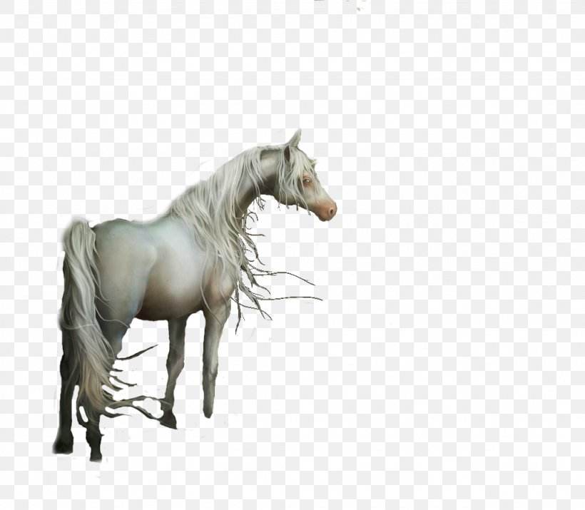 Mane Mustang Stallion Mare Halter, PNG, 1024x894px, Mane, Colt, Fauna, Halter, Horse Download Free