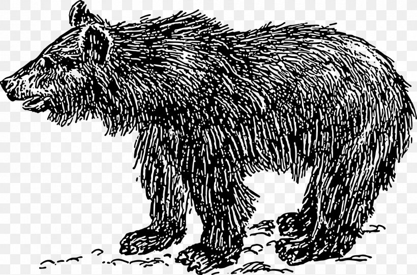 Polar Bear Grizzly Bear Clip Art, PNG, 2400x1584px, Polar Bear, American Black Bear, Bear, Beaver, Black And White Download Free