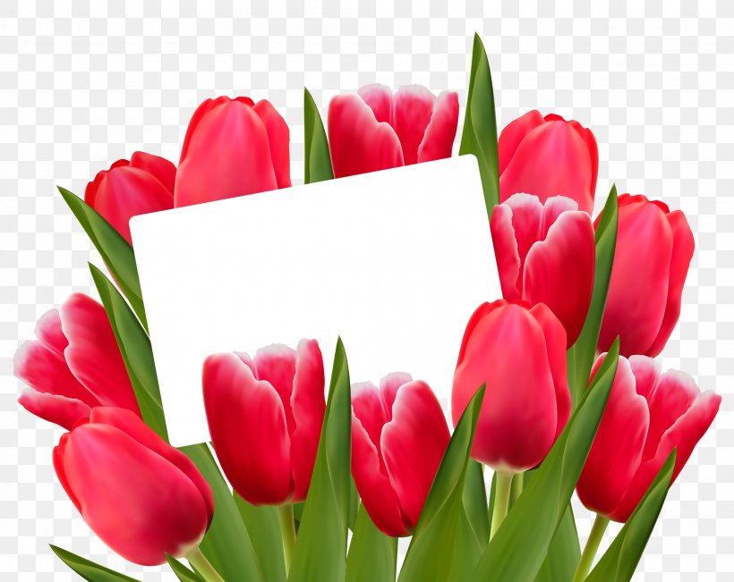 Tulip Flower Red Clip Art, PNG, 2000x1589px, Tulip, Color, Cut Flowers, Floral Design, Floristry Download Free