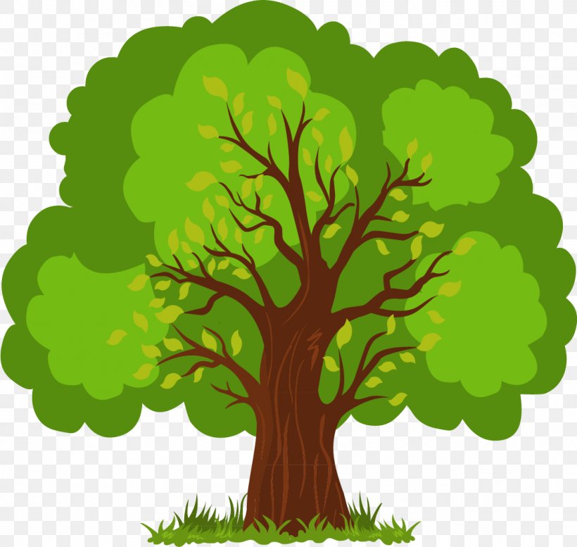 Euclidean Vector Tree, PNG, 1108x1051px, Tree, Branch, Cartoon, Dwg, Grass  Download Free