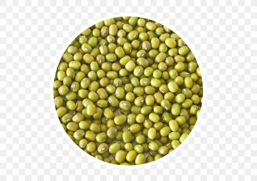 Indian Cuisine Dal Mung Bean Food Green Bean, PNG, 842x595px, Indian Cuisine, Basmati, Bean, Commodity, Company Download Free
