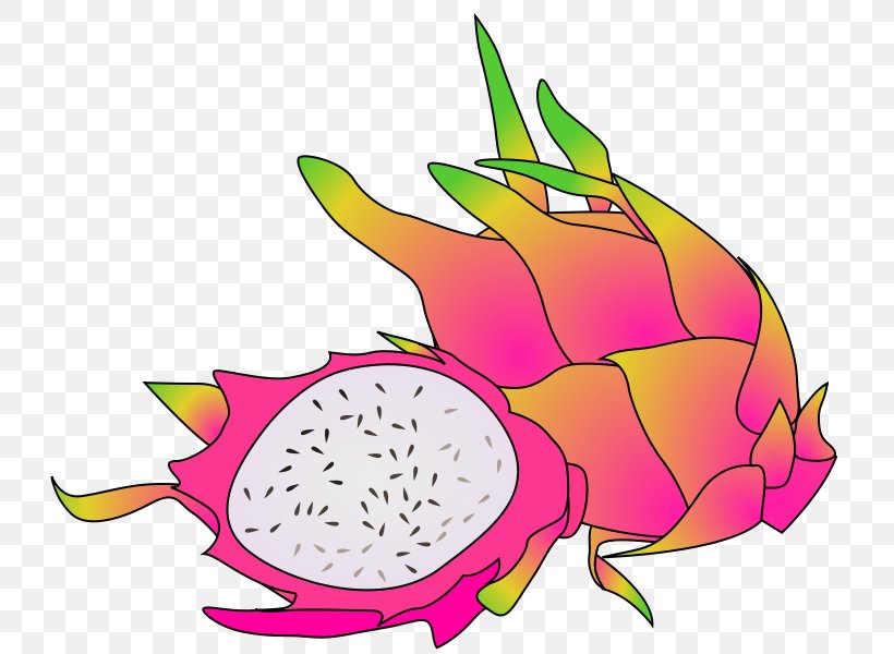 Pitaya Fruit Clip Art, PNG, 800x600px, Pitaya, Apple, Artwork, Berry, Blog Download Free